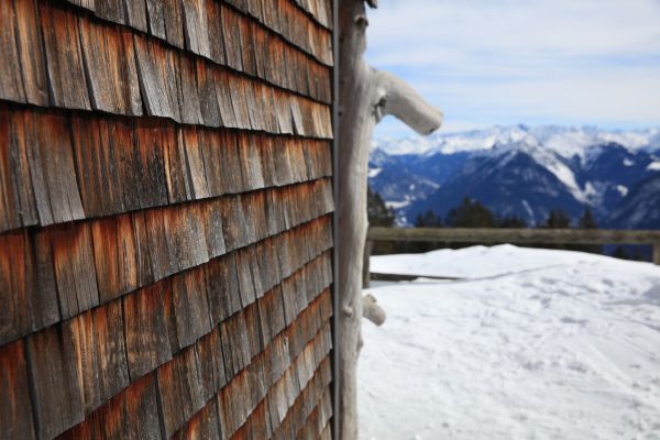 Cedar Siding Repair in Los Gatos