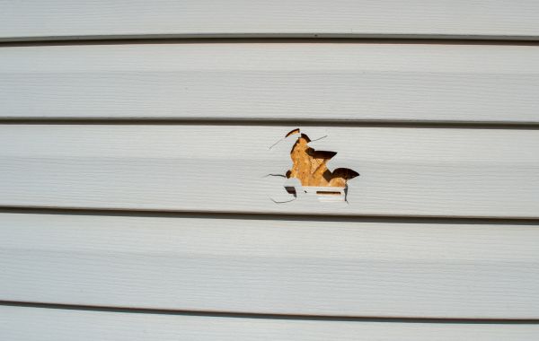 Siding Hole Patching in Los Gatos