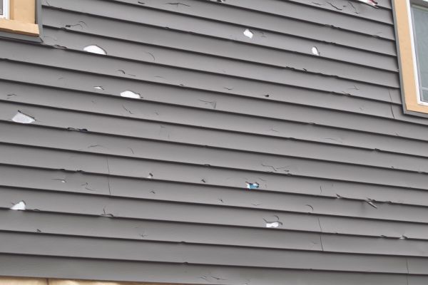 Damaged Siding Replacement in Los Gatos